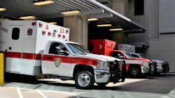 Image by F. Muhammad from Pixabay Image by F. Muhammad from Pixabay