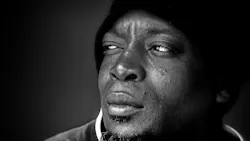 Image by Leroy Skalstad from Pixabay Image by Leroy Skalstad from Pixabay