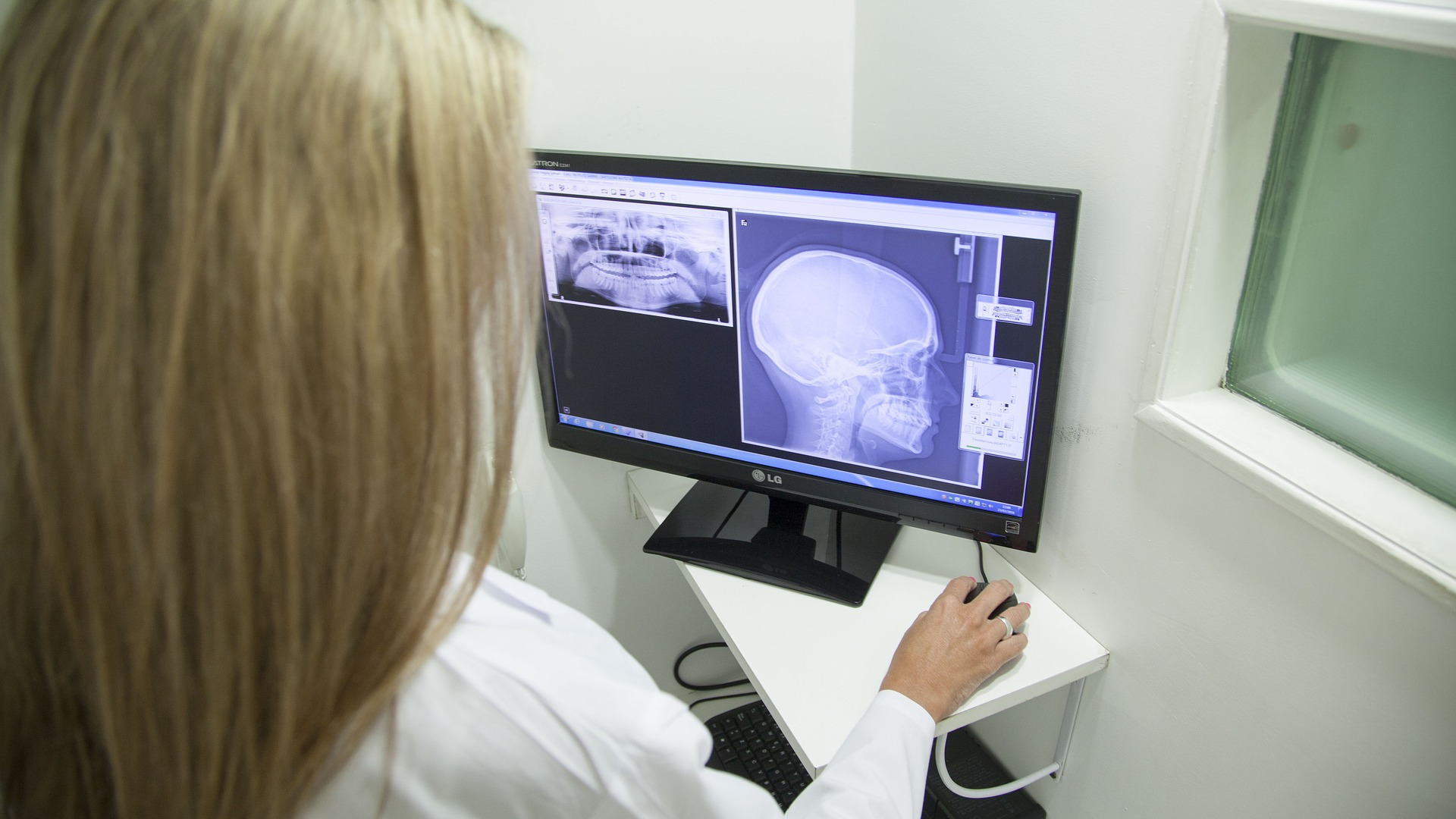 Image by El&iacute;as Alarc&oacute;n from Pixabay