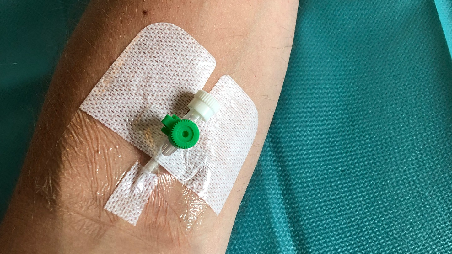 Image by madslumholdt from Pixabay