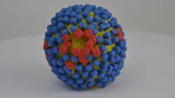 Photo courtesy of NIH and NIAID Photo courtesy of NIH and NIAID