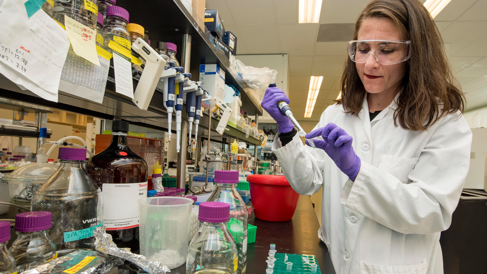 Photo by Science in HD on Unsplash