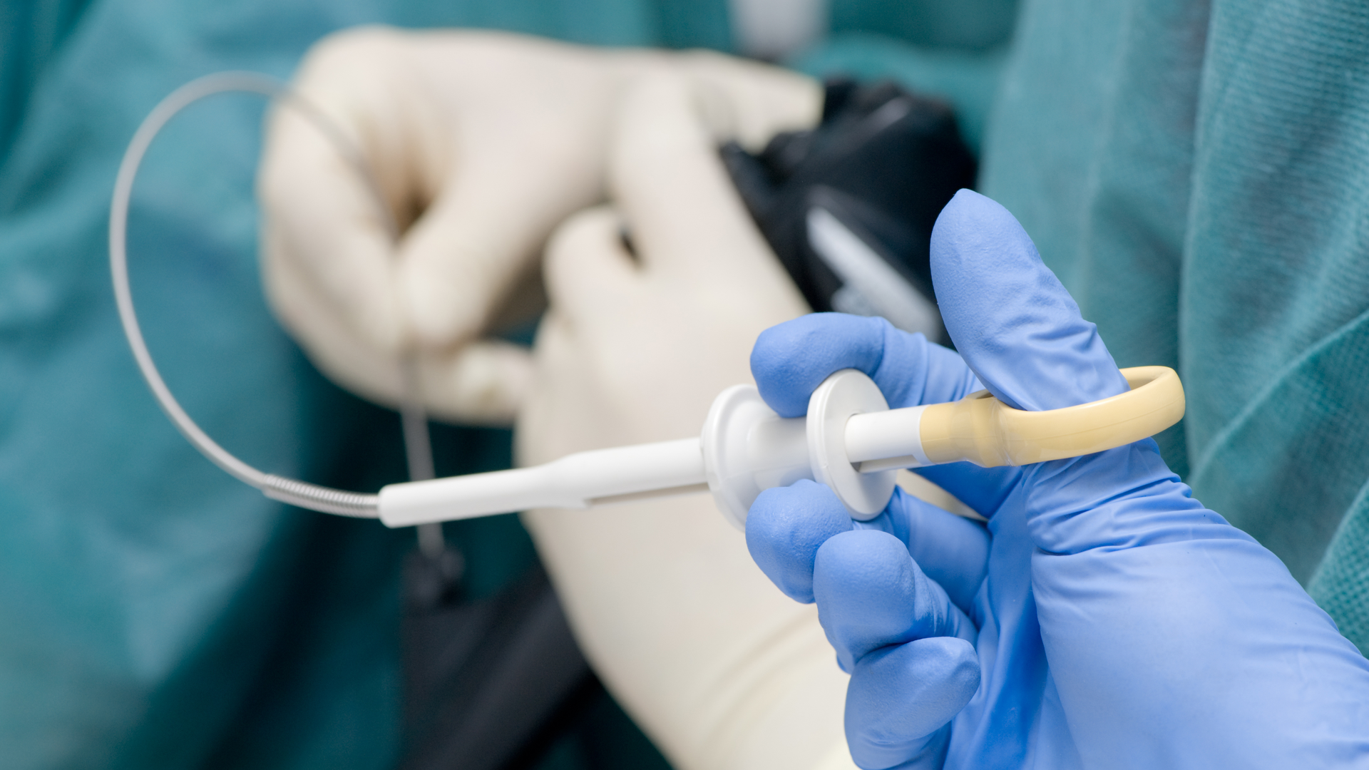 Photo Credit: Max Tactic | Stock adobe