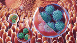 Photo courtesy of The George Washington University Photo courtesy of The George Washington University