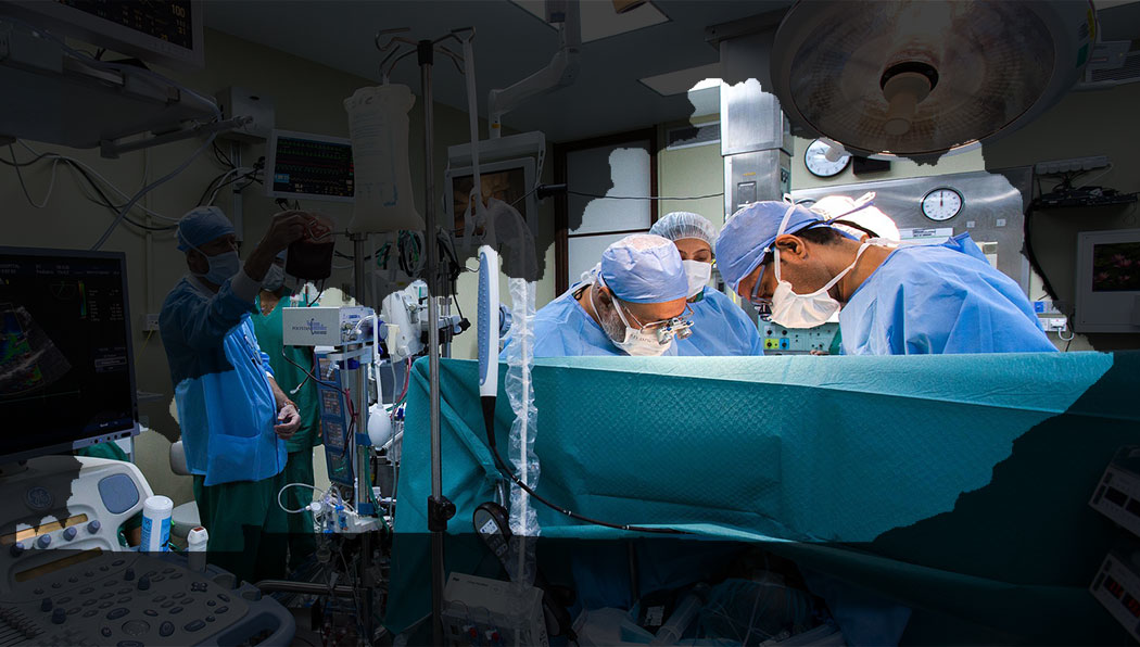 Image by Ahmad Ardity from Pixabay