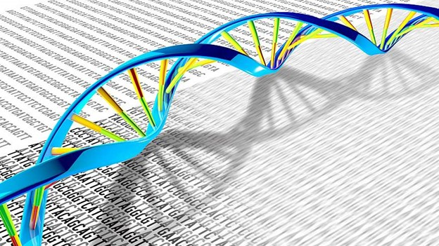 Photo courtesy of NIH and NHGRI