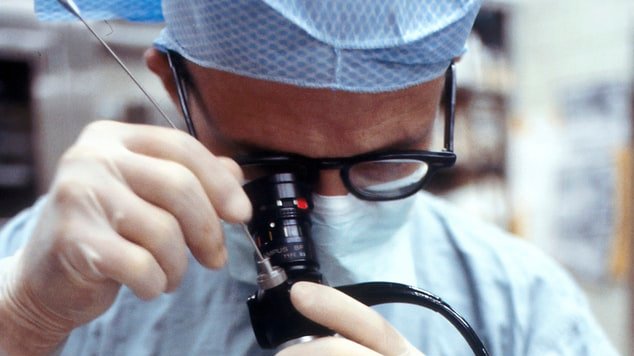 Photo by National Cancer Institute on Unsplash