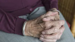 Image by Sabine van Erp from Pixabay Image by Sabine van Erp from Pixabay