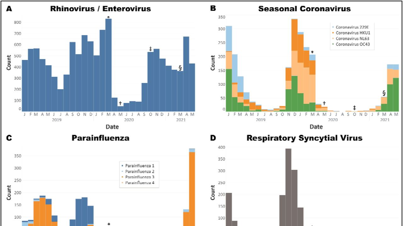 Photo courtesy of Houston Methodist Research Institute