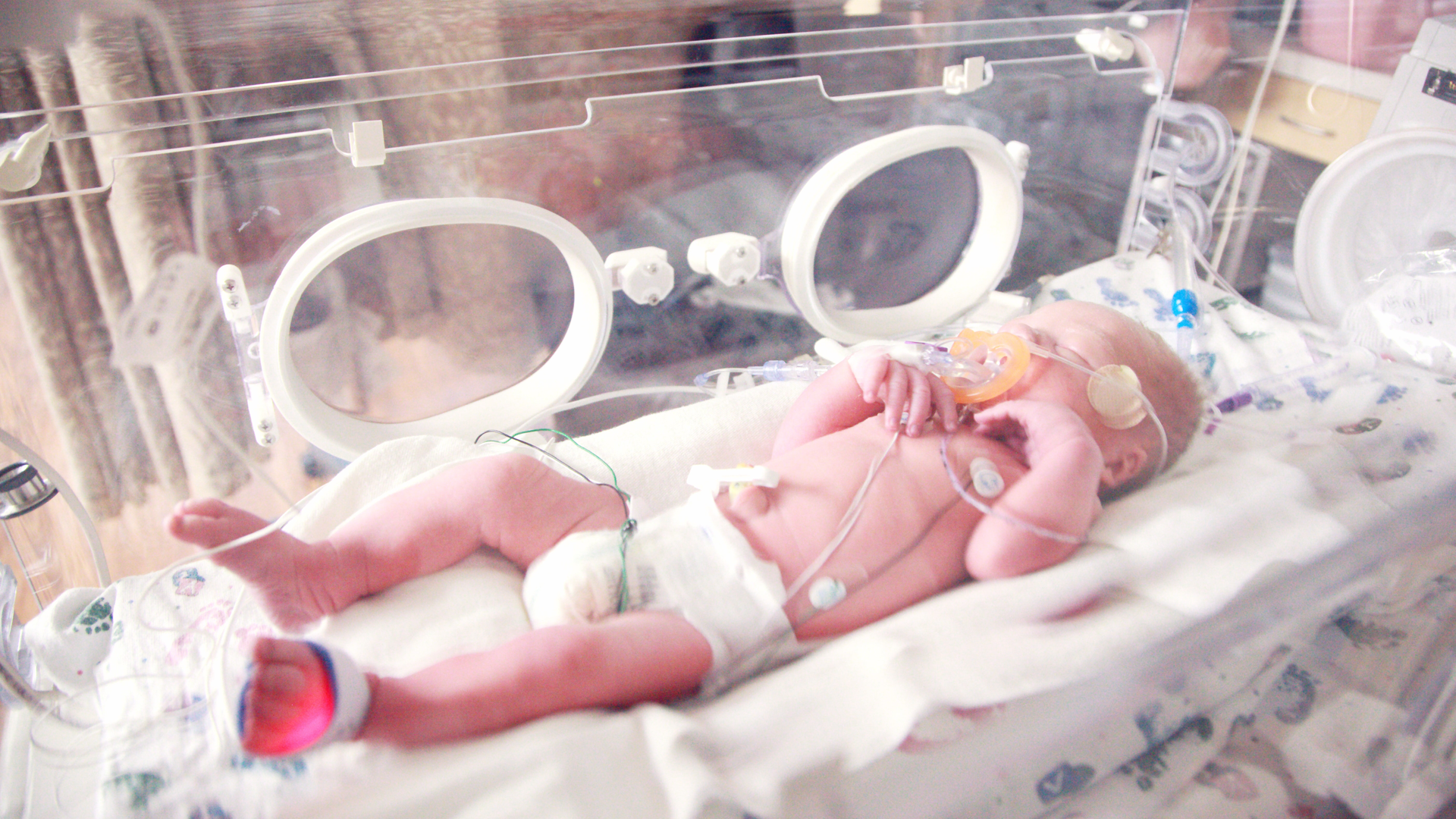 Sharon Mccutcheon 74 7j5t4s G0 Unsplash 616456d1b4024