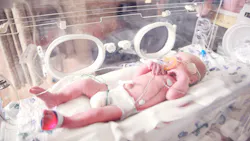 Sharon Mccutcheon 74 7j5t4s G0 Unsplash 616456d1b4024 Sharon Mccutcheon 74 7j5t4s G0 Unsplash 616456d1b4024