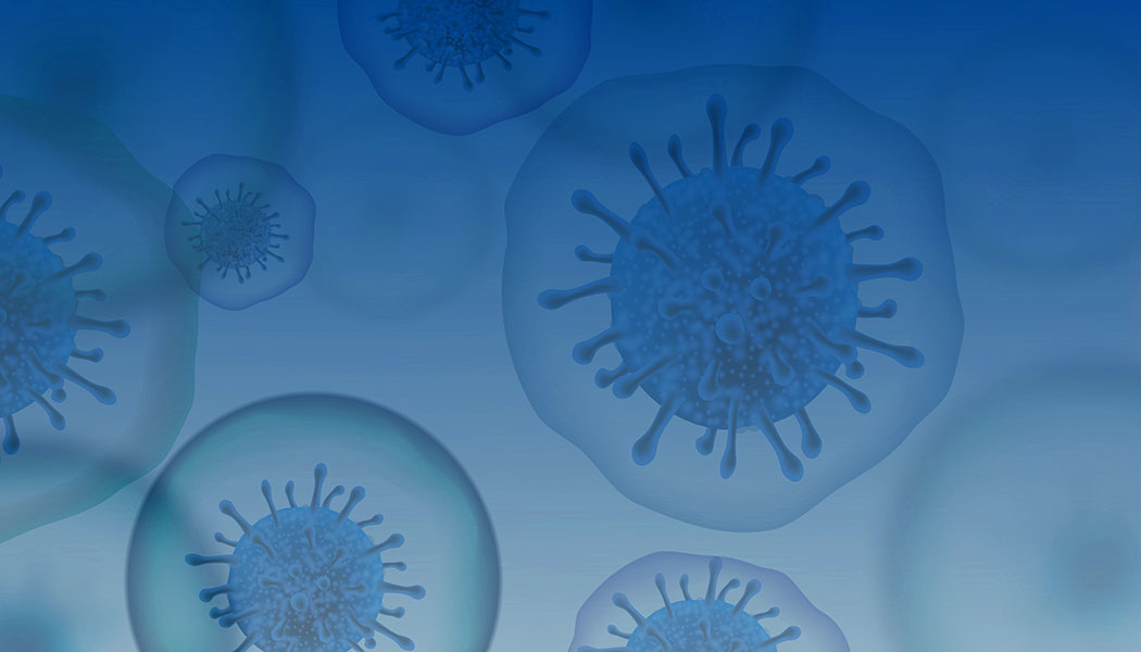 Iggy Intro 616dc44ca2939