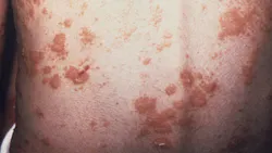 15516 619d1b900a3ba 15516 619d1b900a3ba