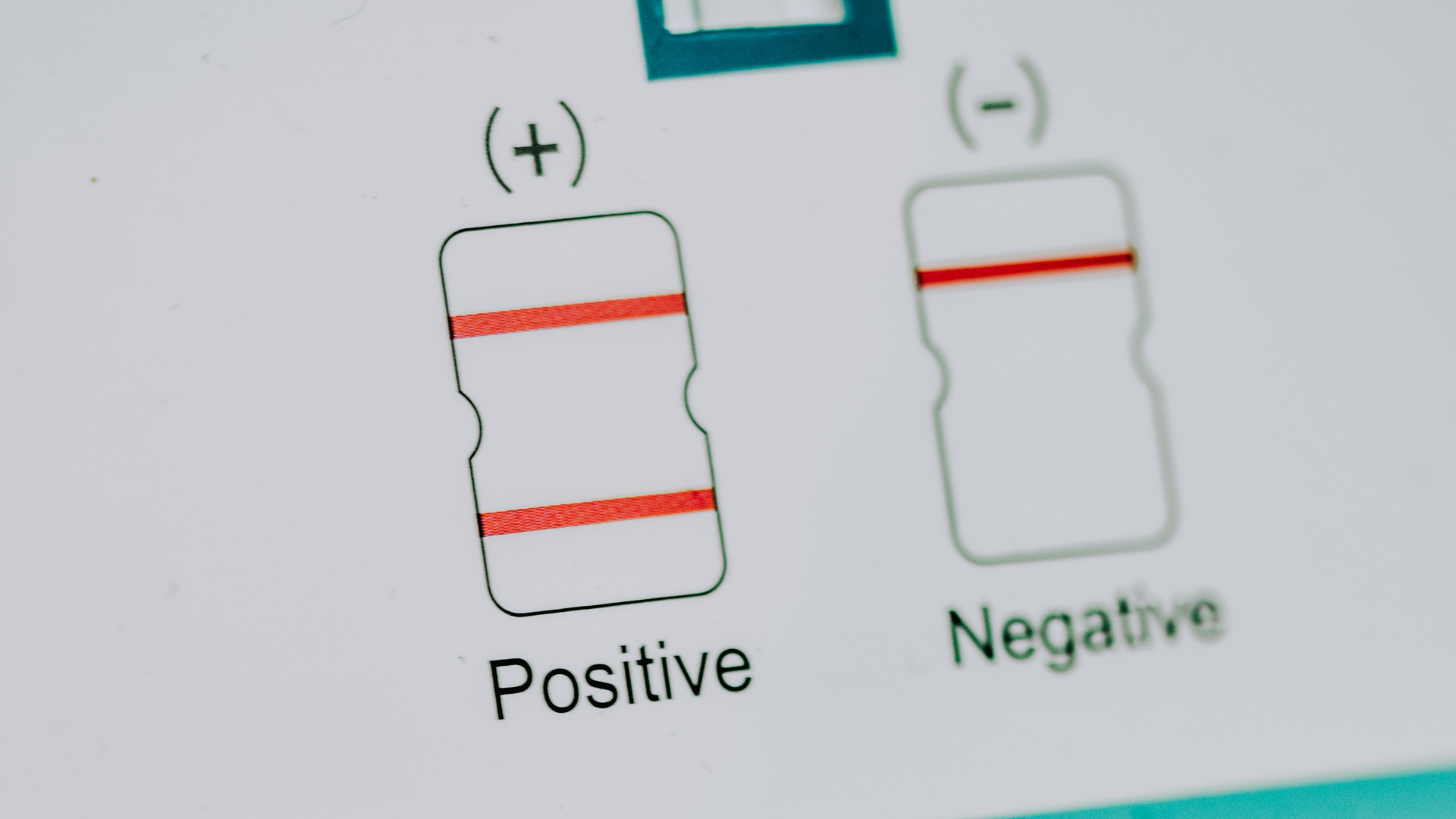 Pexels Dids 7867251 618d81a3cc28e