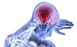 Brain G6f41d09e8 1920 61927fd93c3b2 Brain G6f41d09e8 1920 61927fd93c3b2