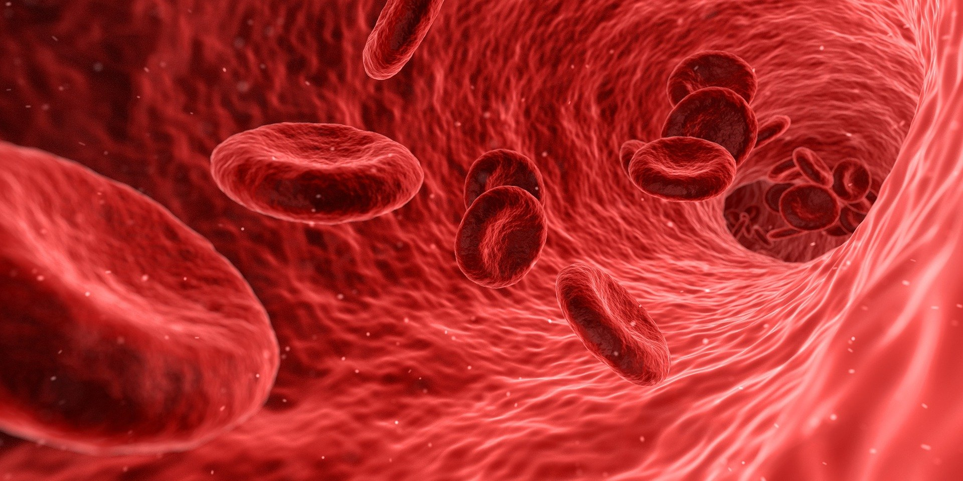 Blood G41d226a38 1920 61b219502e7fd