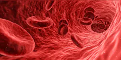 Blood G41d226a38 1920 61b219502e7fd Blood G41d226a38 1920 61b219502e7fd