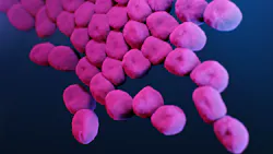 This is a medical illustration of carbapenem-resistant, Acinetobacter sp. bacteria, presented in the Centers for Disease Control and Prevention (CDC) publication entitled, Antibiotic Resistance Threats in the United States, 2019 (AR Threats Report). Courtesy of CDC. This is a medical illustration of carbapenem-resistant, Acinetobacter sp. bacteria, presented in the Centers for Disease Control and Prevention (CDC) publication entitled, Antibiotic Resistance Threats in the United States, 2019 (AR Threats Report). Courtesy of CDC.