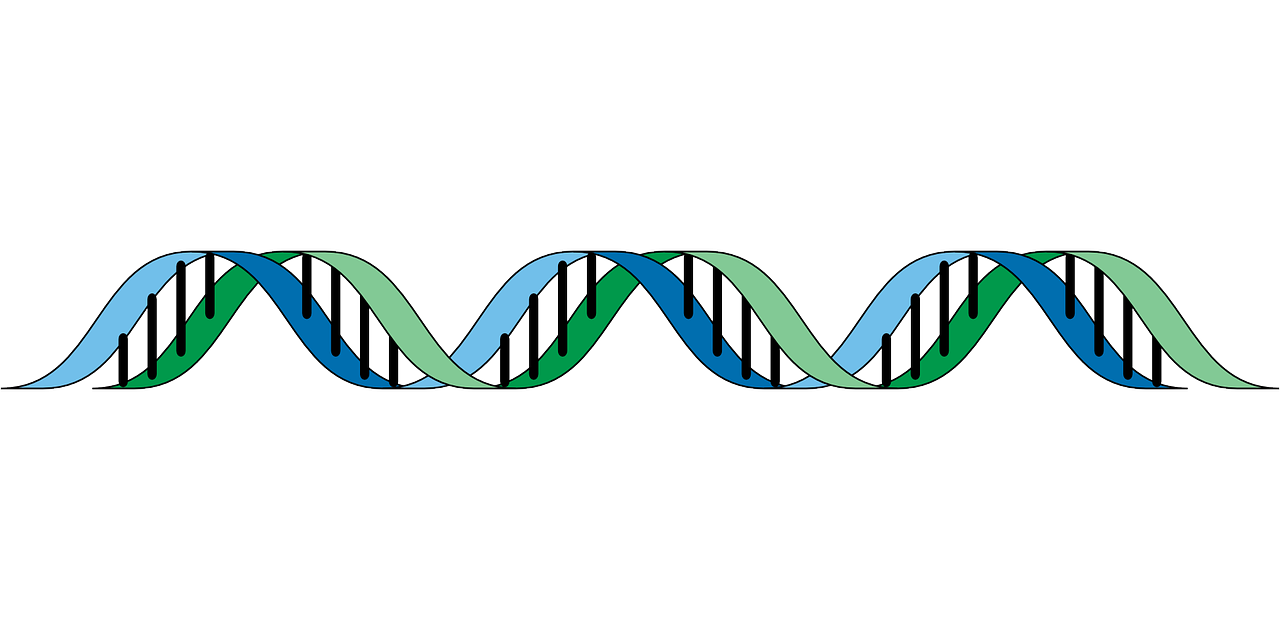 Dna G504822d78 1280 61f40ee34acdc