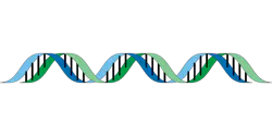 Dna G504822d78 1280 61f40ee34acdc Dna G504822d78 1280 61f40ee34acdc