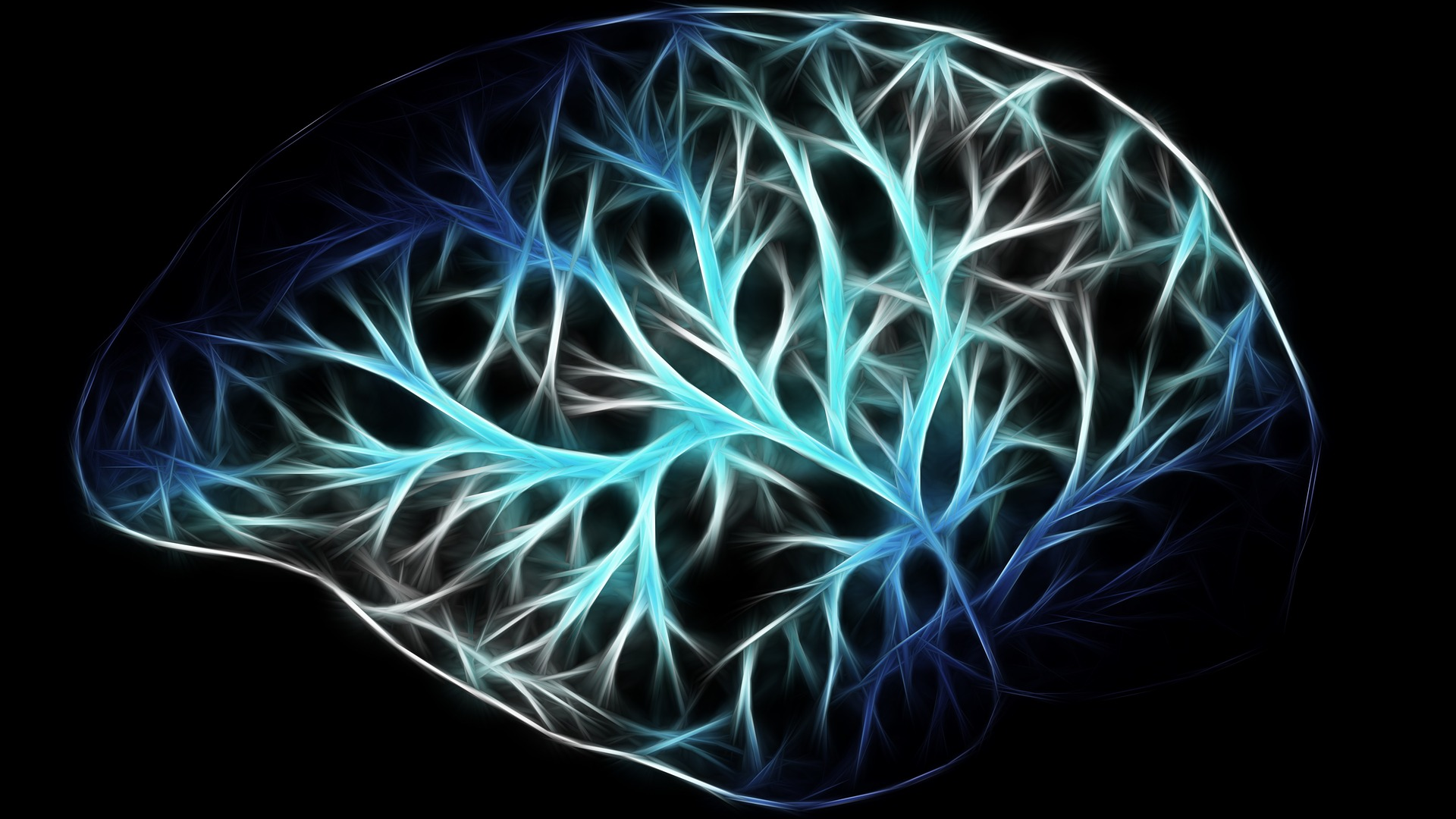 Brain G4d1037d7f 1920 621fafdd91bc8