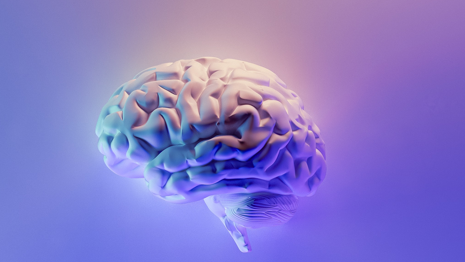 Milad Fakurian 58 Z17ln Vs4 U Unsplash 6245bc58c487e