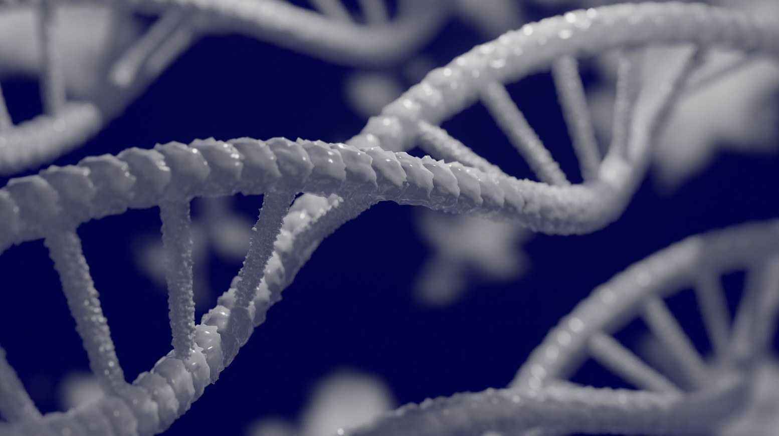 Dna 5297378 1920 6262cec232a1a