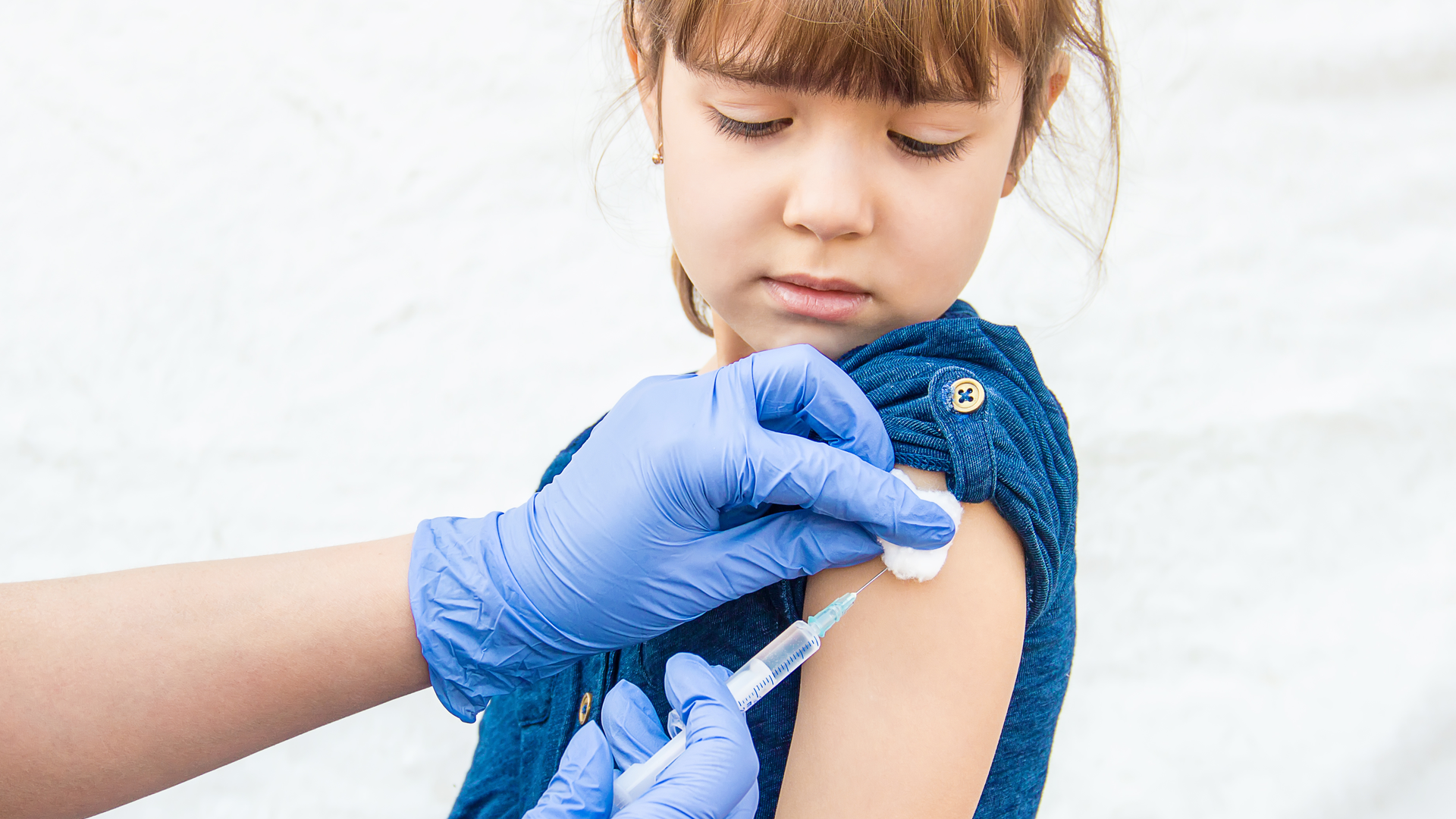 Adobe Stock 202171977 62b1ddeec0045