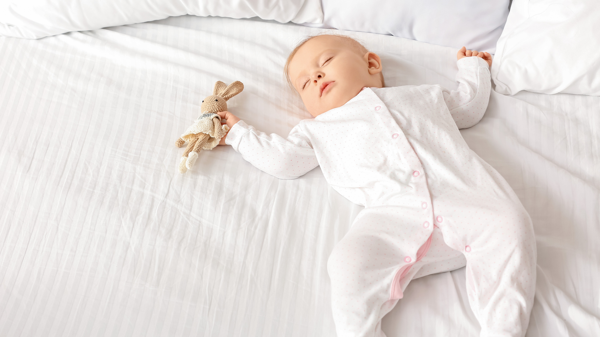 Adobe Stock 311703262 62b330ecd924e