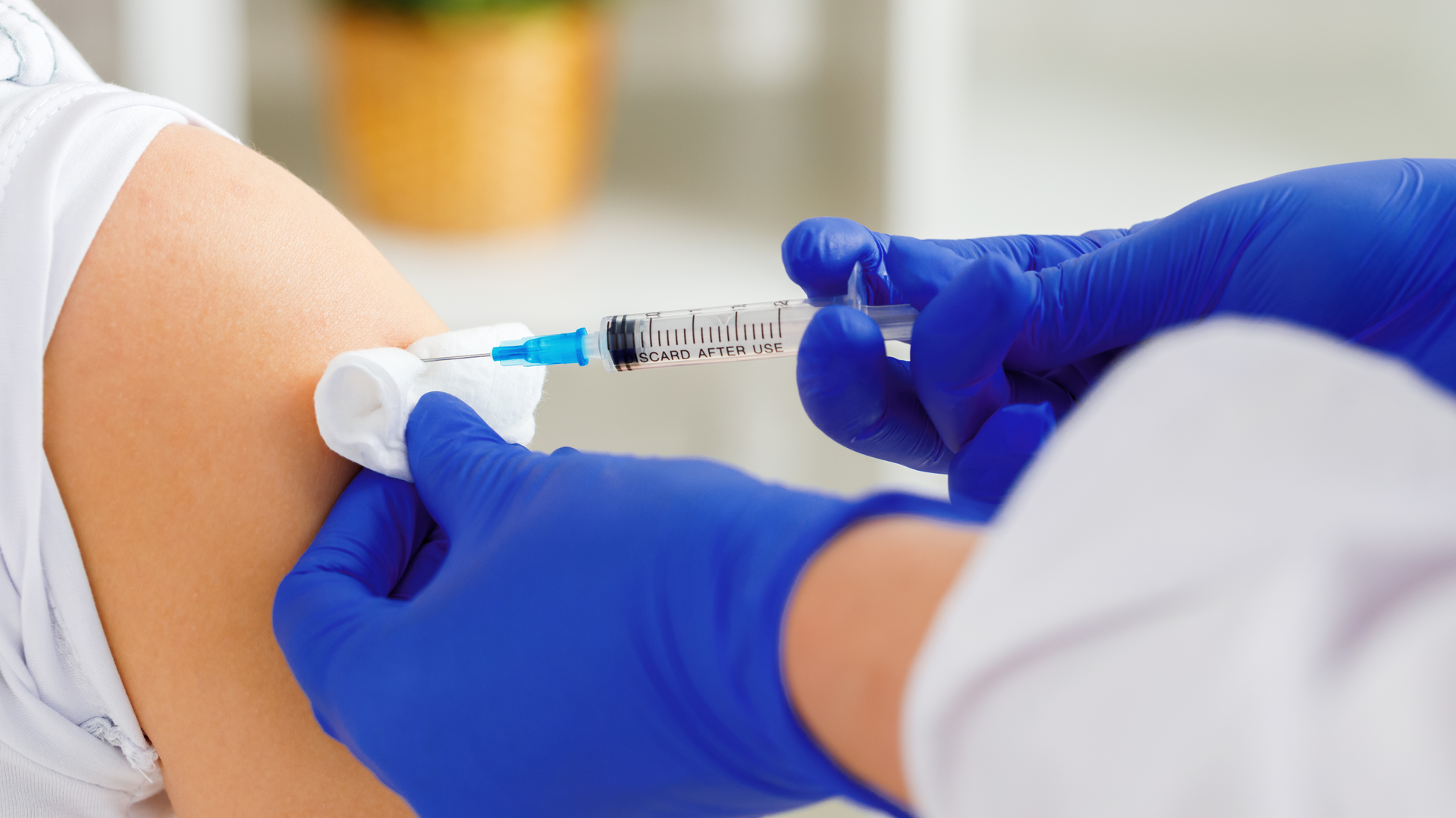 Adobe Stock 389008699 62b33b099b560