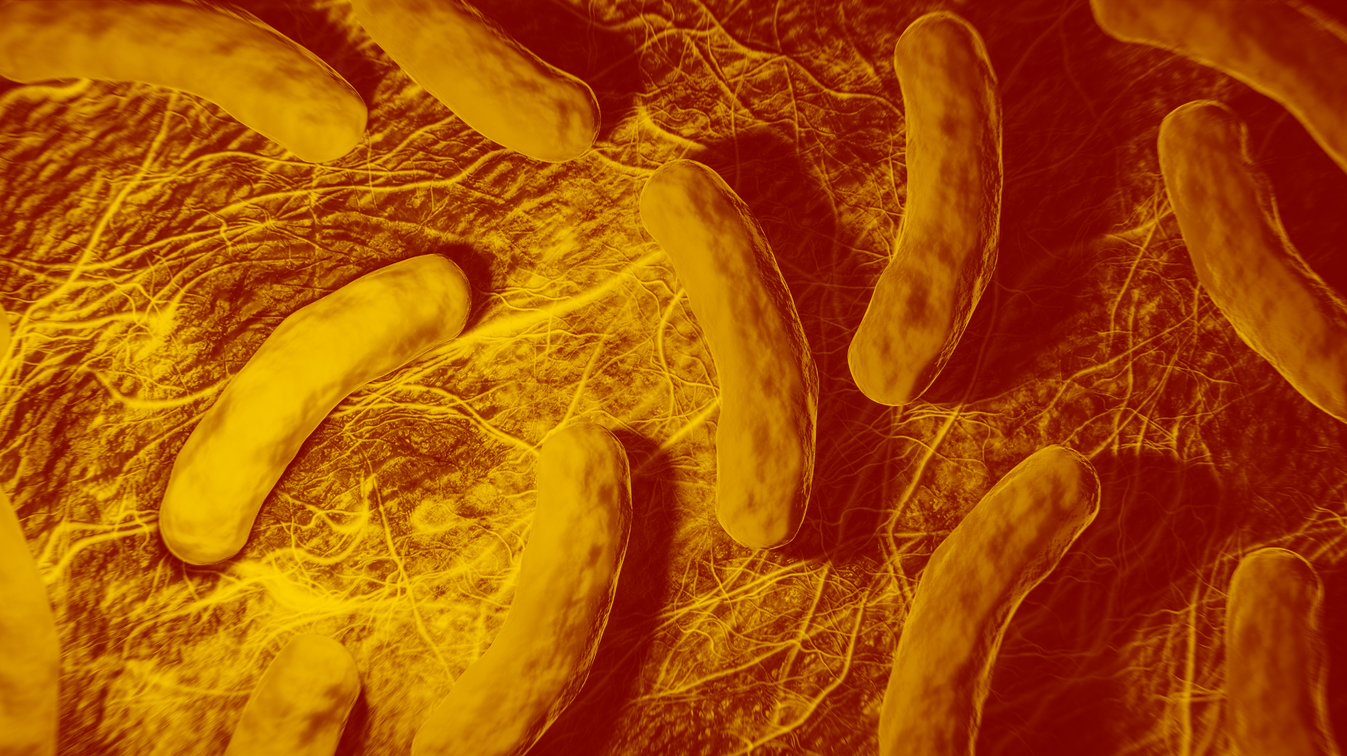 Adobe Stock 403683705 62b5dd02aee74