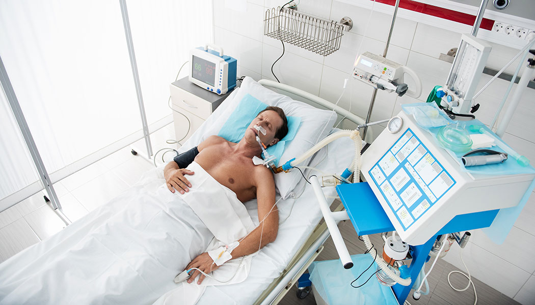 Photo credit: Yakobchuk Olena | stock.adobe.com