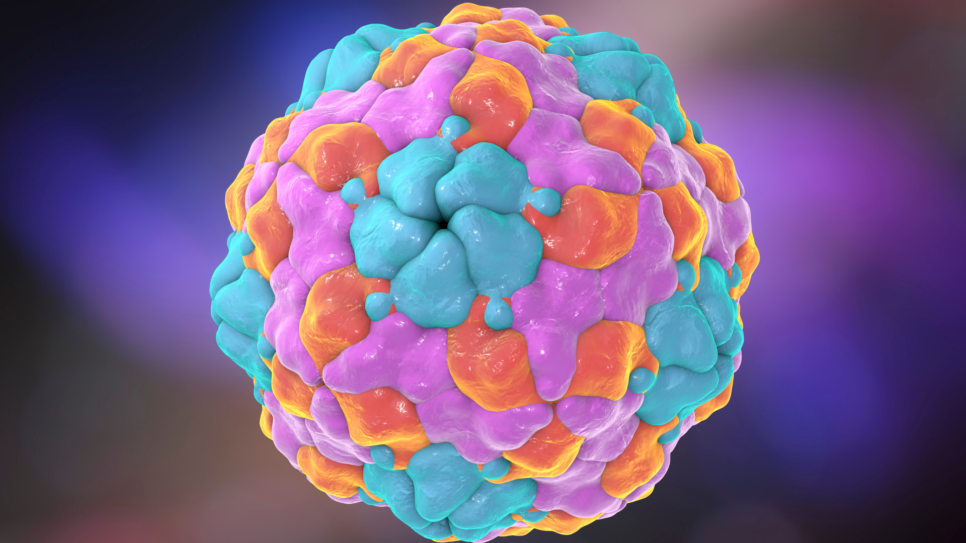 Adobe Stock 109516653 62d18e7f95e0c