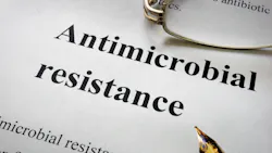 Adobe Stock 126570978 62cee22829fe2 Adobe Stock 126570978 62cee22829fe2