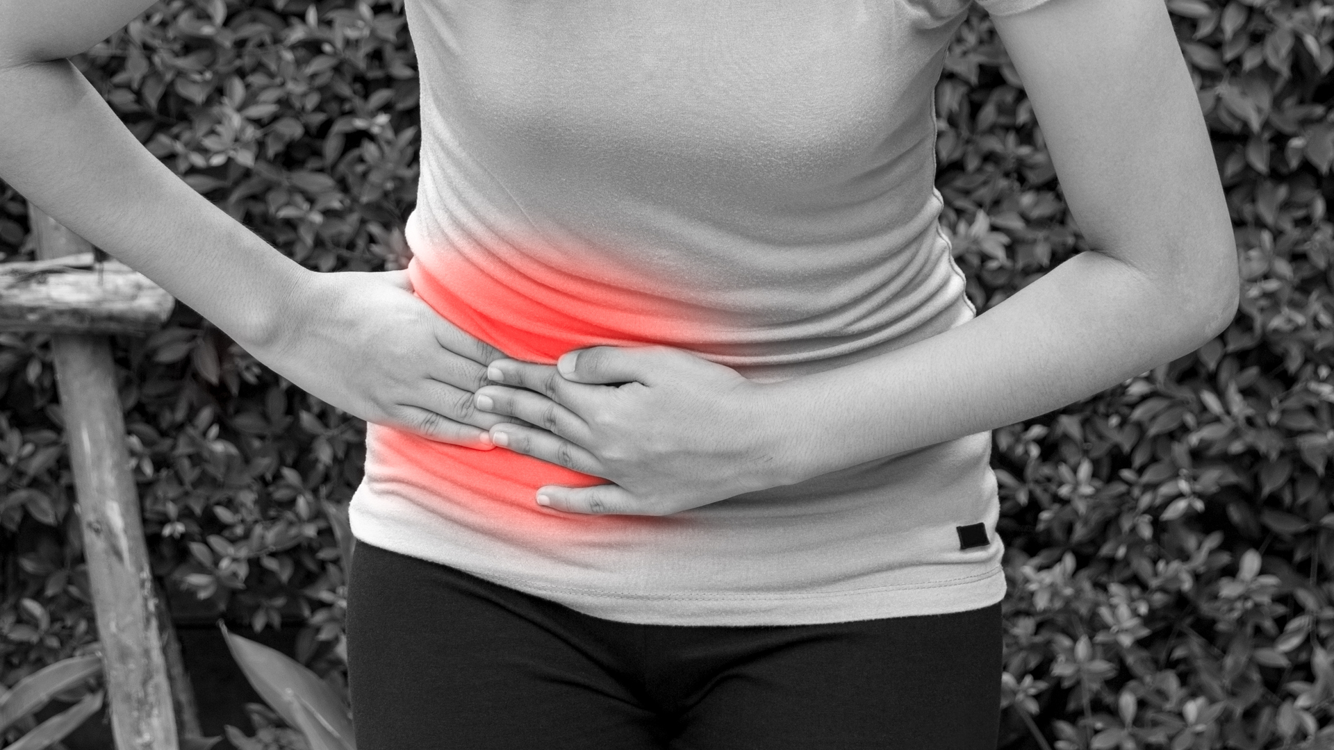 Adobe Stock 168211059 62c701f1eeeed