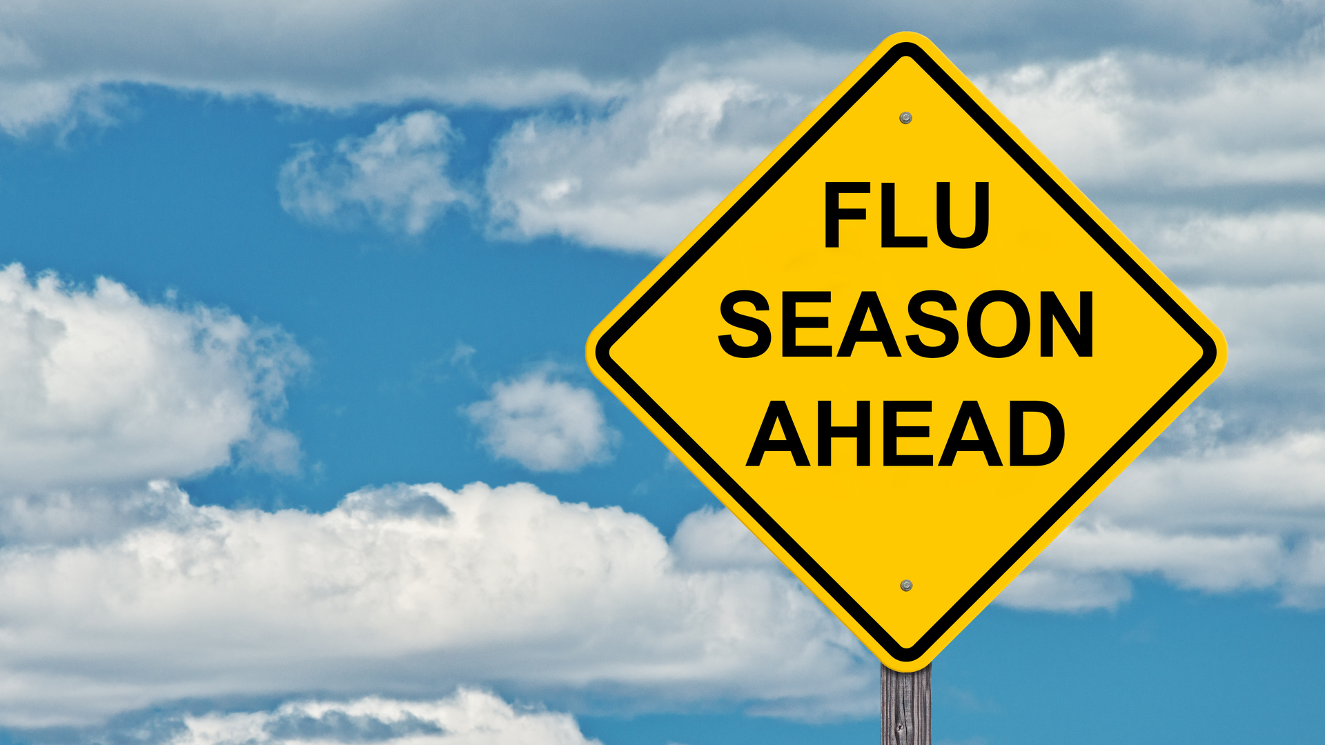 Adobe Stock 231006532 62bf031572184