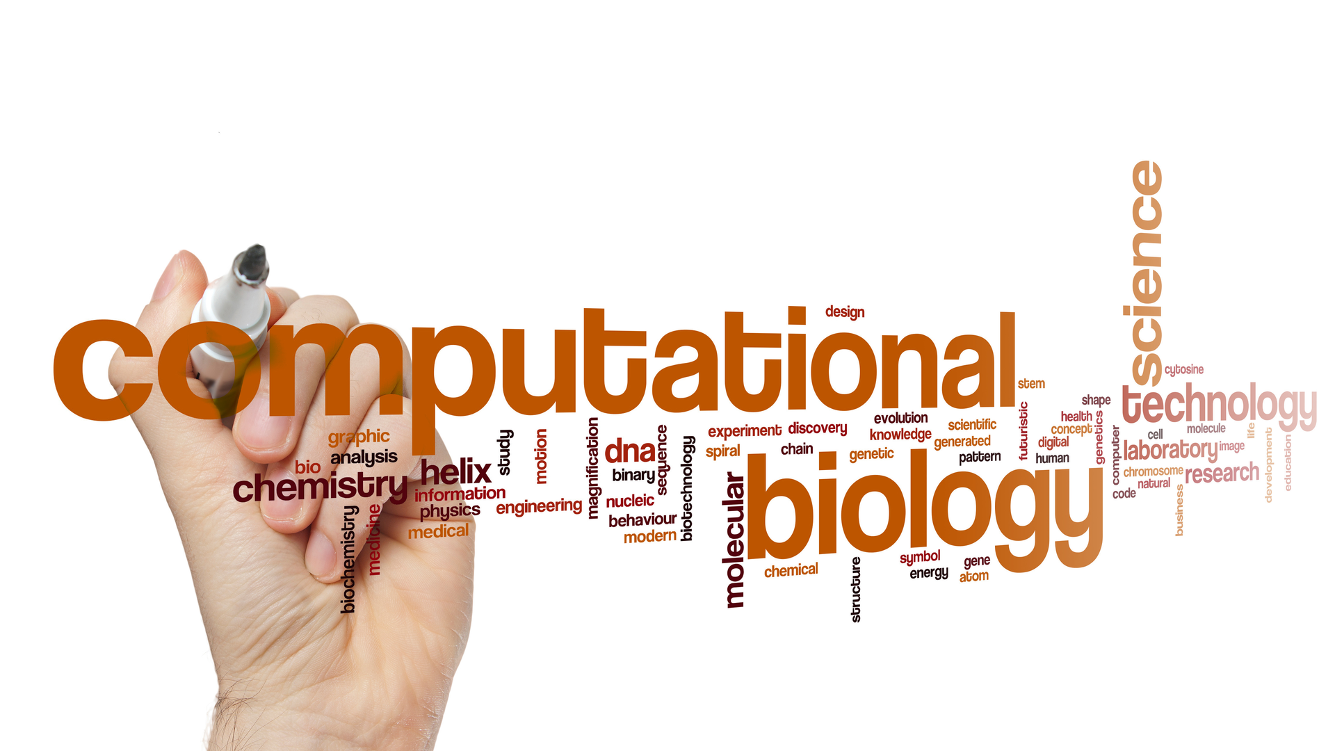 Adobe Stock 285028853 62d6cea00d28e