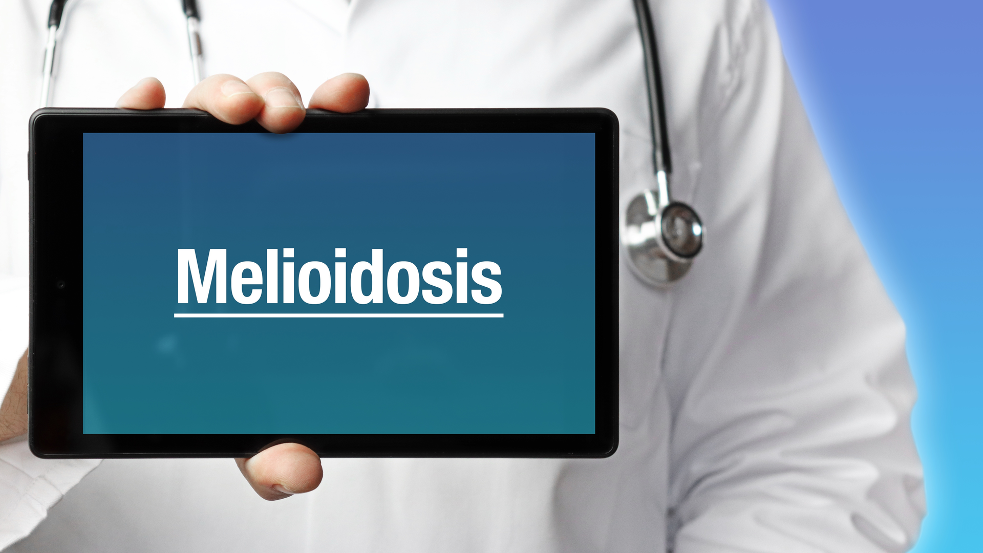 Adobe Stock 345859609 62e400b398fba