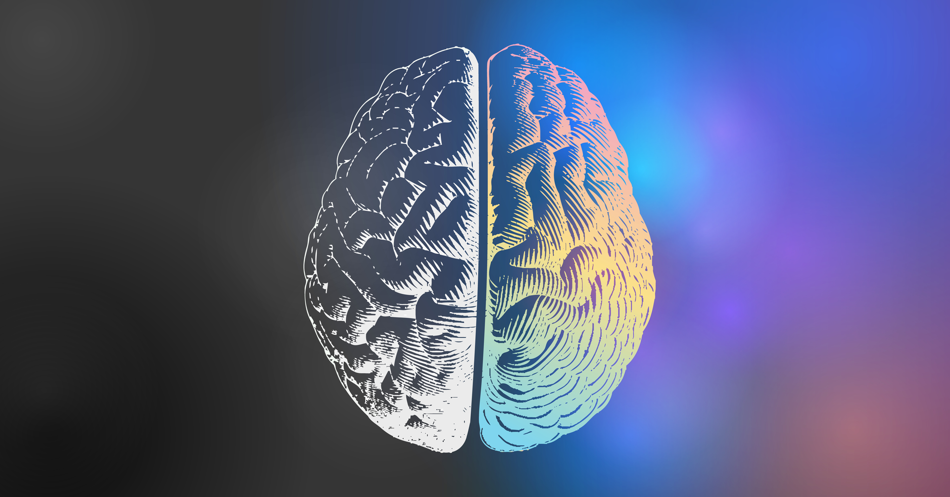 Adobe Stock 244094184 62c6f64466fe0