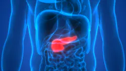 Adobe Stock 181431116 6304eb09118fa Adobe Stock 181431116 6304eb09118fa