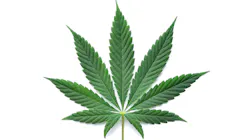 Adobe Stock 269892329 6304ec1214388 Adobe Stock 269892329 6304ec1214388