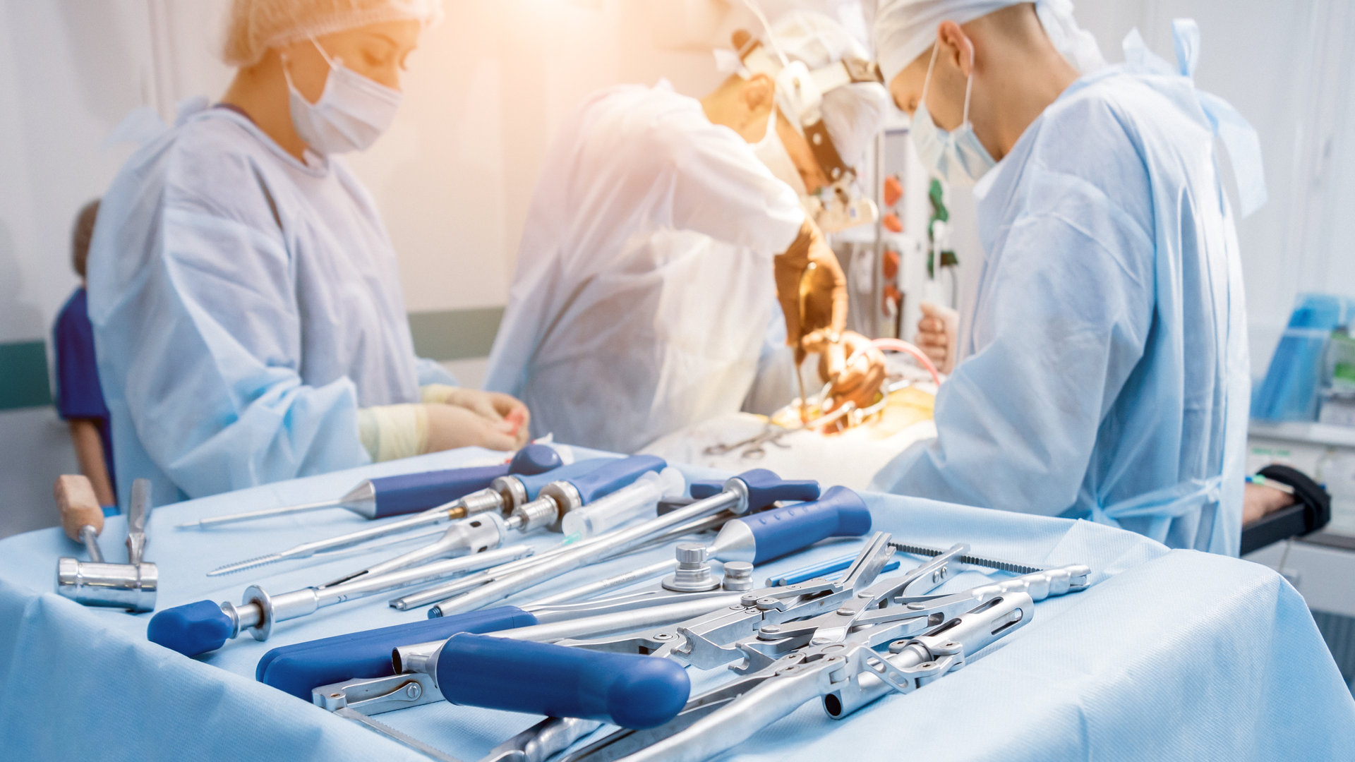 Adobe Stock 295698848 6304e971ba35e