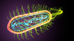 Adobe Stock 426934509 62fe4647f1fee Adobe Stock 426934509 62fe4647f1fee