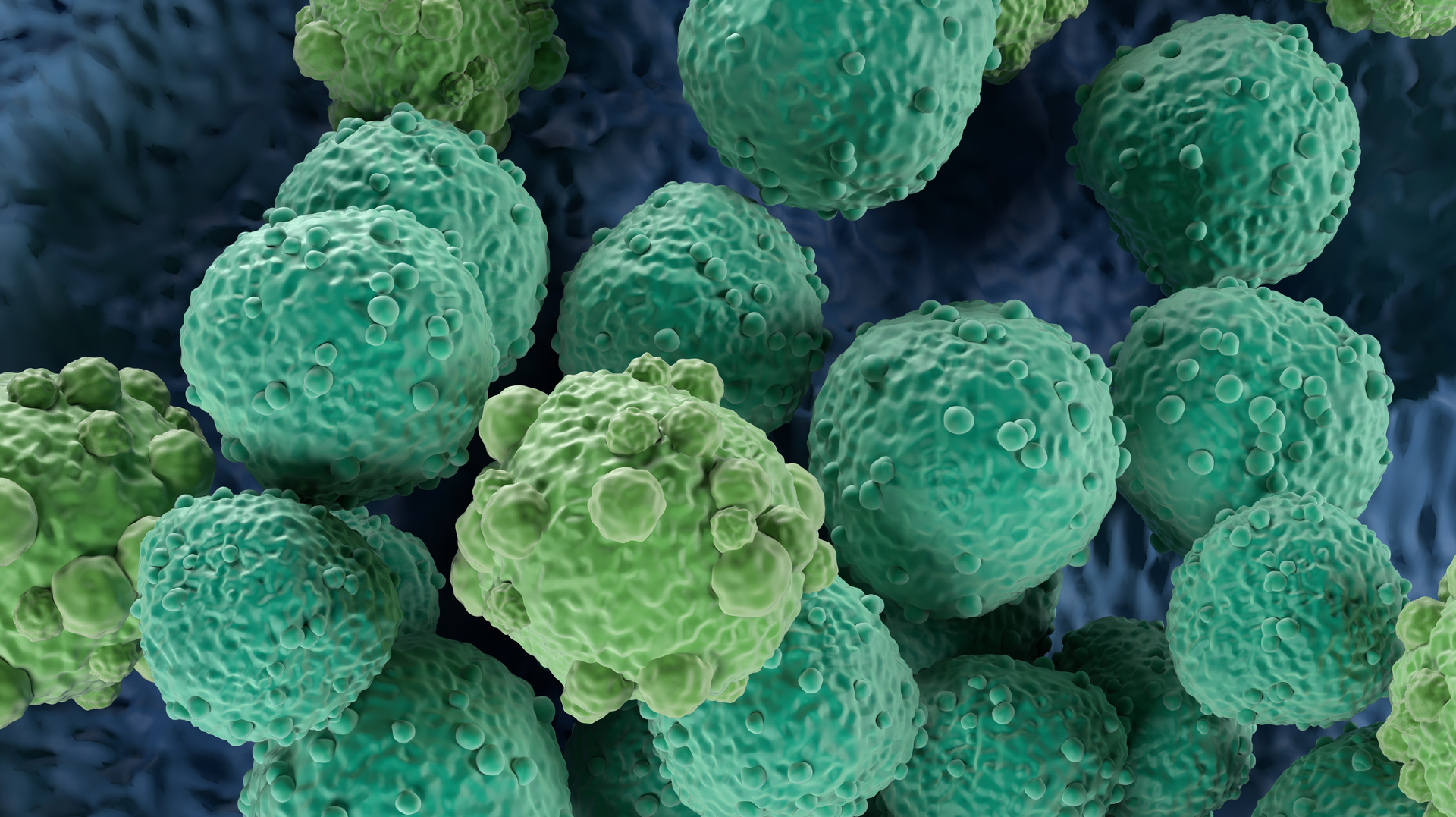 Adobe Stock 447637477 62f16893d95f4