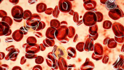 Adobe Stock 466427067 62f1679bc390b Adobe Stock 466427067 62f1679bc390b