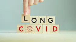 Adobe Stock 493723644 62ebec5585ca3 Adobe Stock 493723644 62ebec5585ca3