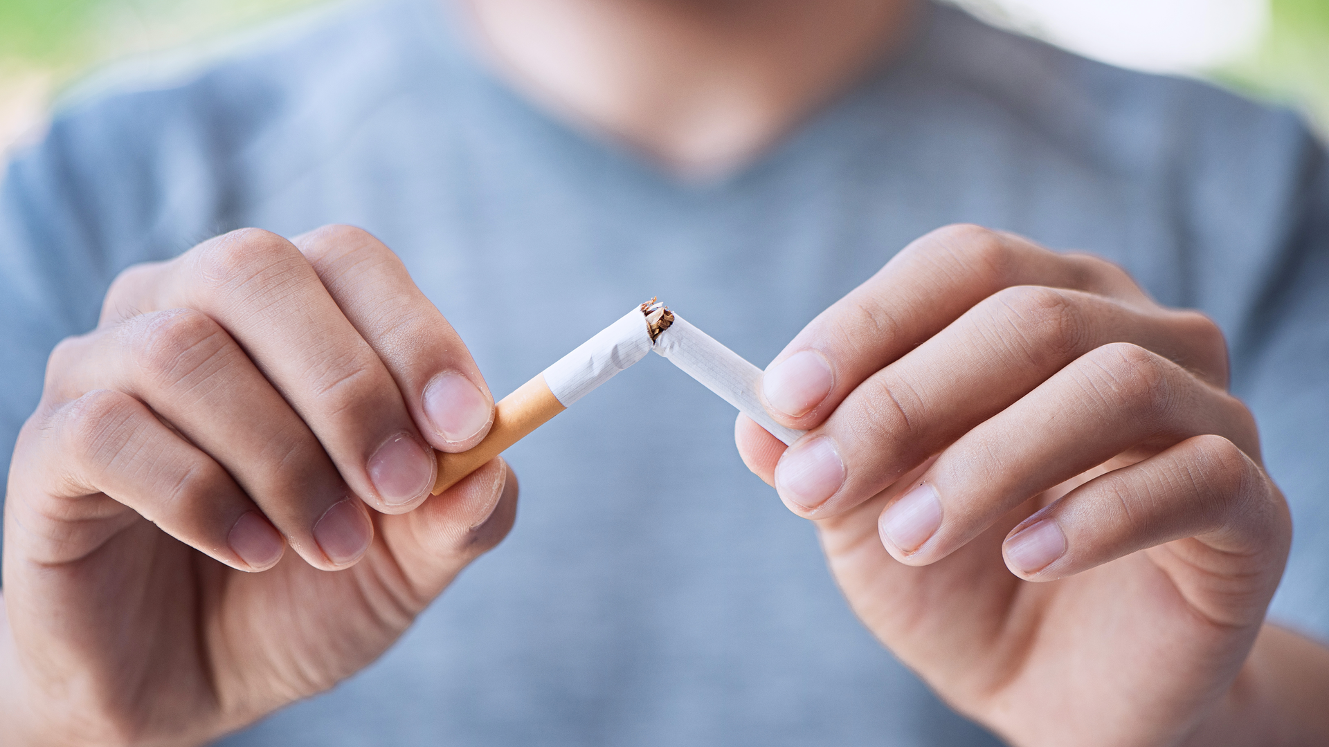 Adobe Stock 506534952 62f286018c94e