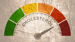 Adobe Stock 305614593 631cad18c0833 Adobe Stock 305614593 631cad18c0833