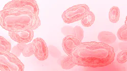 Adobe Stock 510814182 6324908866004 Adobe Stock 510814182 6324908866004