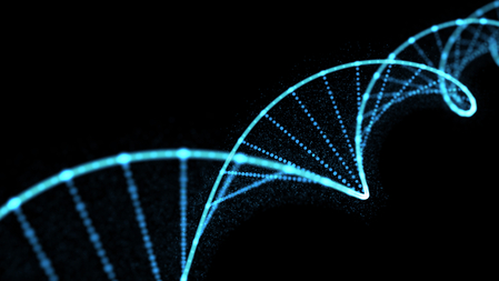 Dreamstime Xs 163943479 6334648744de2